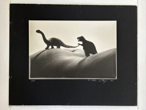 Foto dinosauri allan teger - foto,